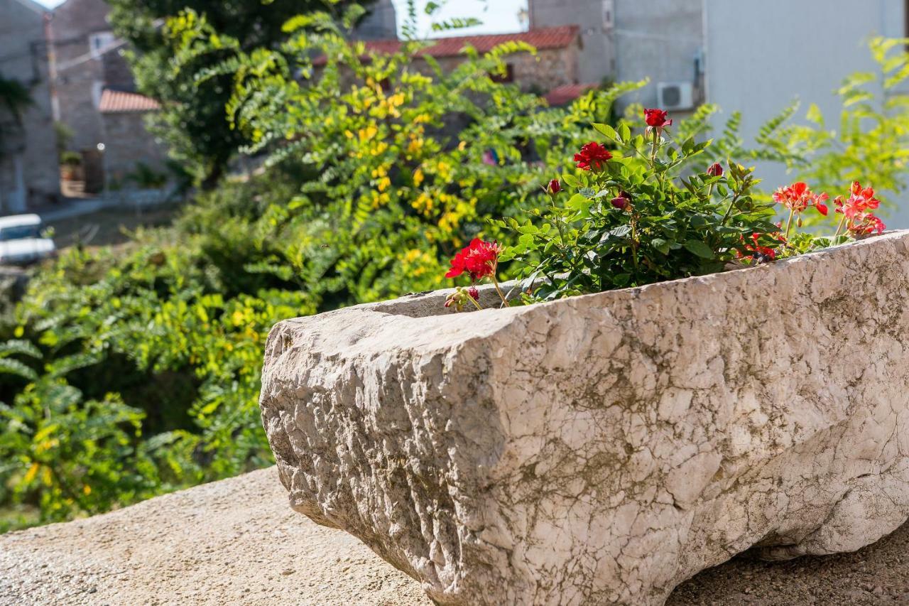 Apartmani Muzic Orlec Ngoại thất bức ảnh